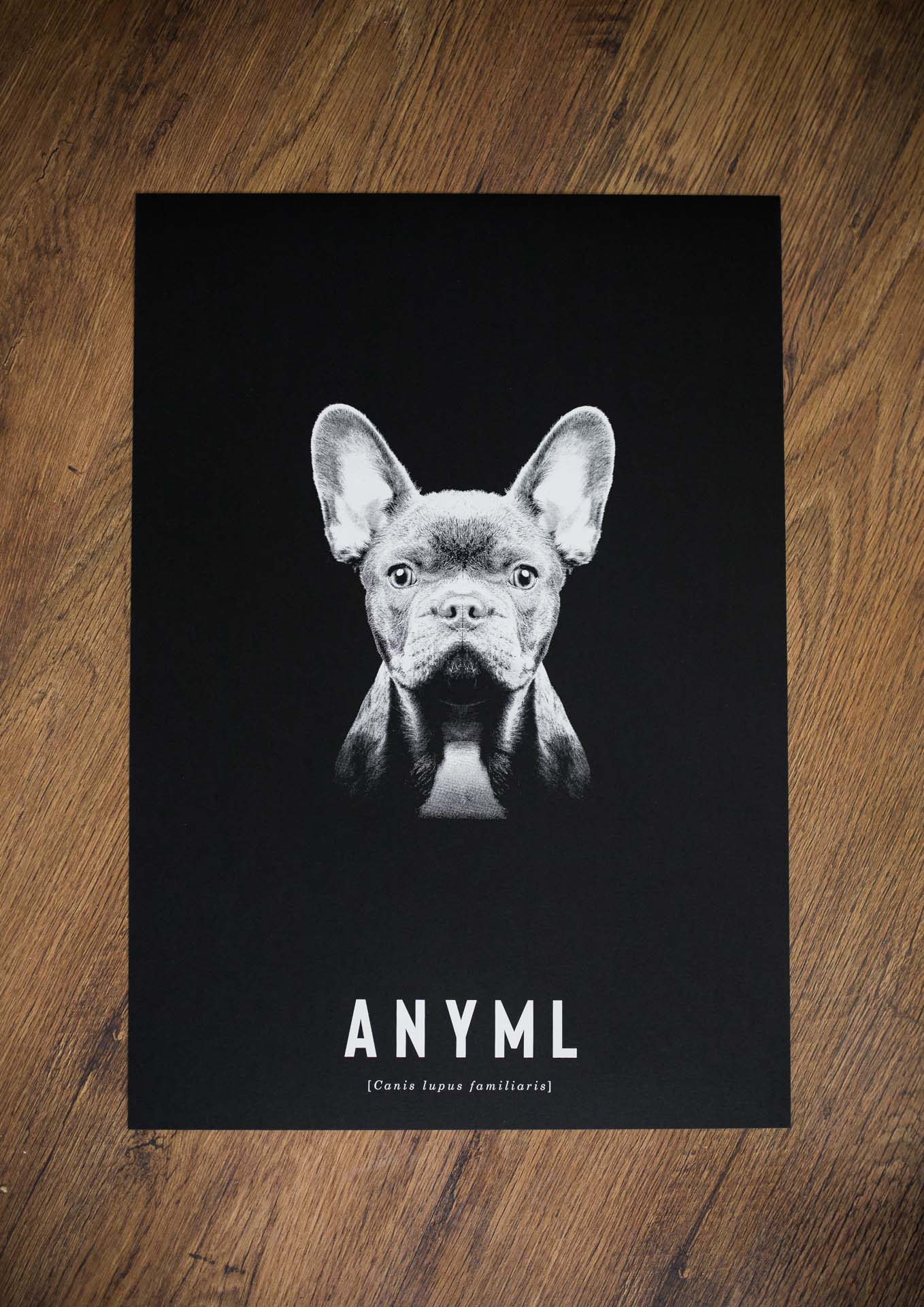 ANYML Siebdruck - Canis | Hund 4