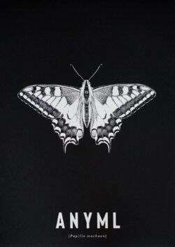 ANYML Siebdruck - Papilio machaon | Schmetterling 1